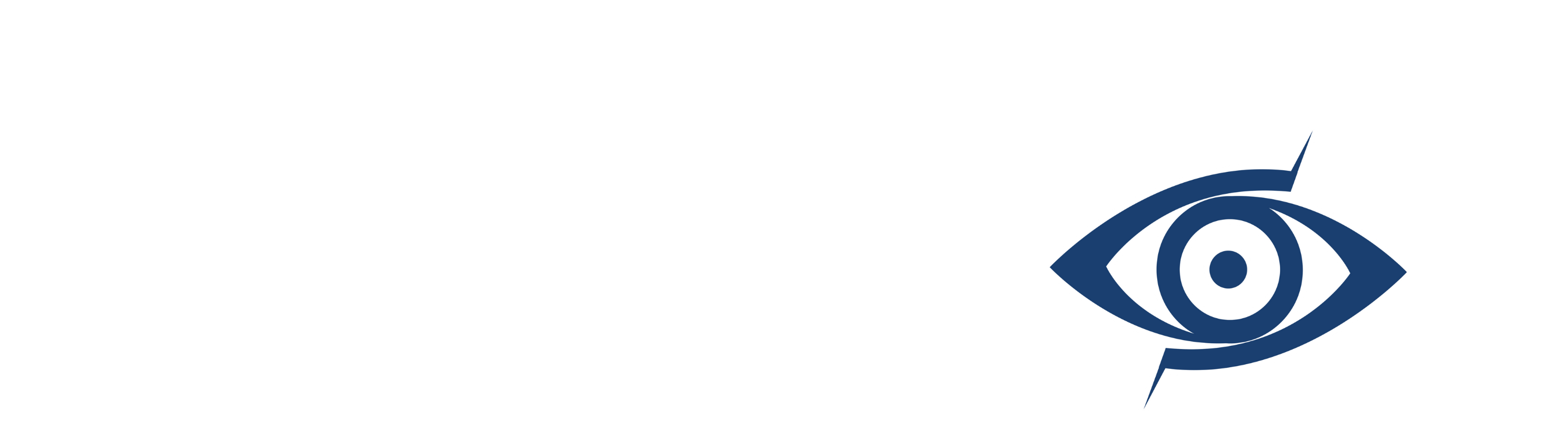 E‑Vizyon | Vizyonu Olan Görünür Olur